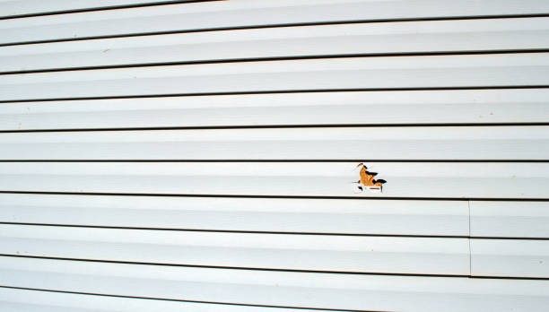 Professional Siding Installation & Repair in Jefferson, LA