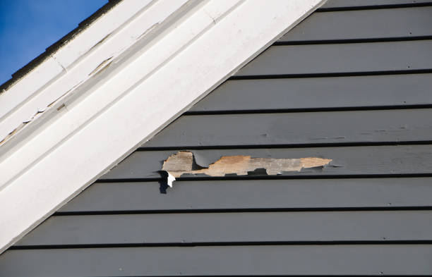 Best Fascia and Soffit Installation  in Jefferson, LA